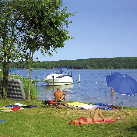 Camping 4*